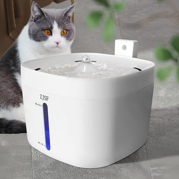 Pet Water Fountain